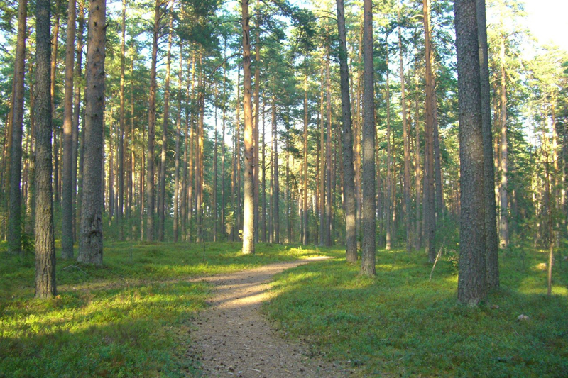 Комплекс «Каменная гора»